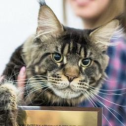 Agat White Luxury*BY