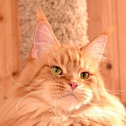 Barselona Fun Family