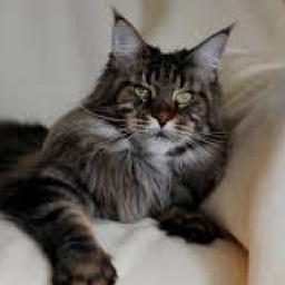 Helavisa Long Meadow