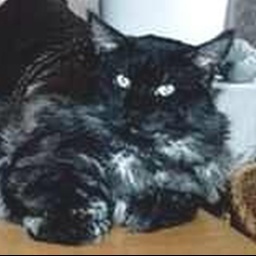 Odysseus of Mount Mac Kinley